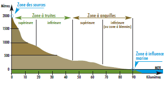 Répartition des zones écologiques le long du cours d’eau